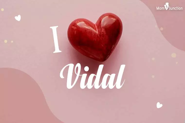 I Love Vidal Wallpaper