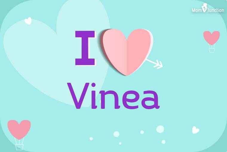 I Love Vinea Wallpaper