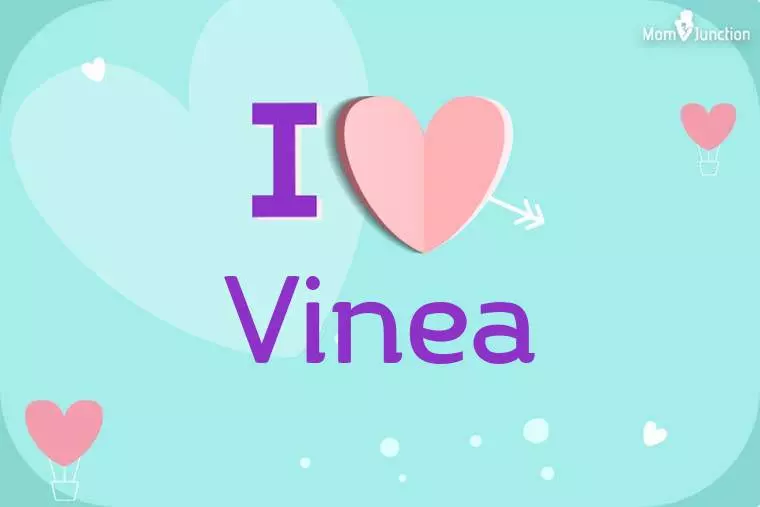 I Love Vinea Wallpaper