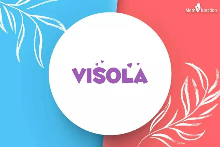 Visola Stylish Wallpaper