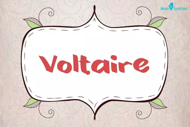 Voltaire Stylish Wallpaper