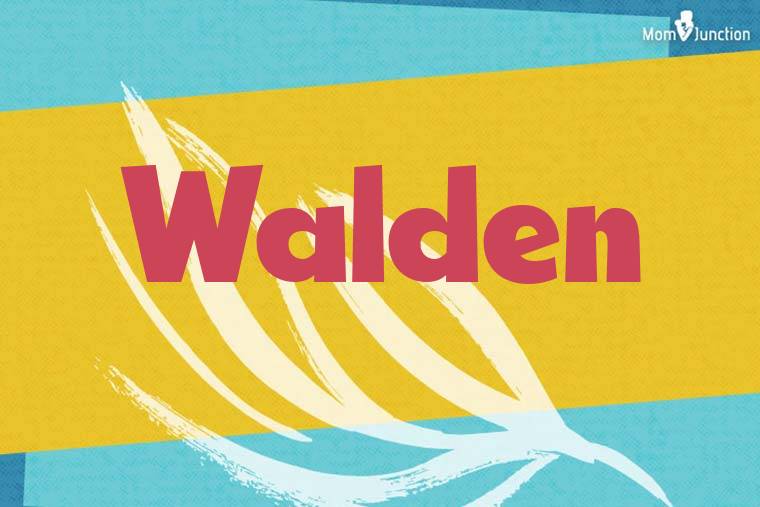 Walden Stylish Wallpaper