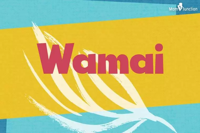 Wamai Stylish Wallpaper