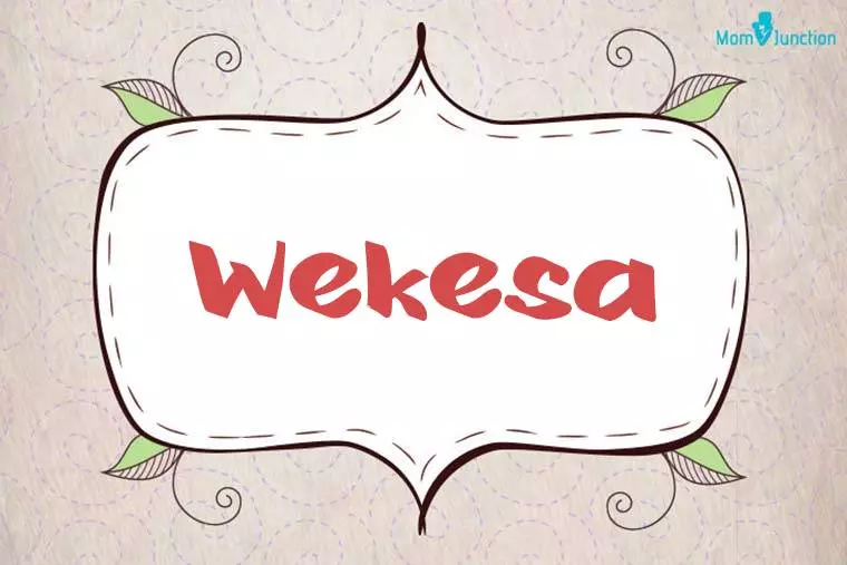 Wekesa Stylish Wallpaper