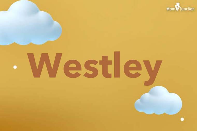 Westley 3D Wallpaper