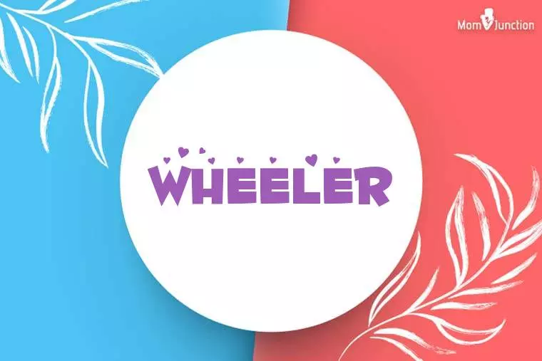 Wheeler Stylish Wallpaper