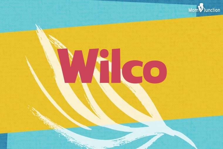 Wilco Stylish Wallpaper