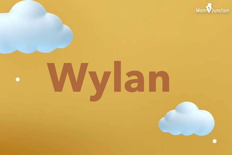 Wylan 3D Wallpaper