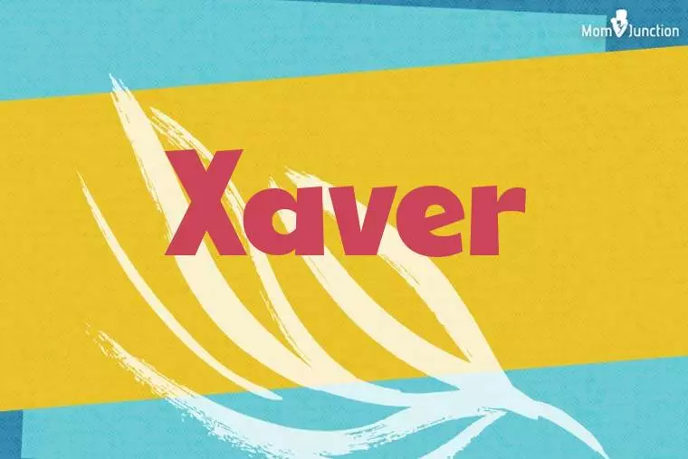 Xaver Stylish Wallpaper