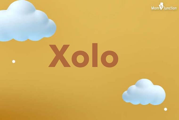 Xolo 3D Wallpaper