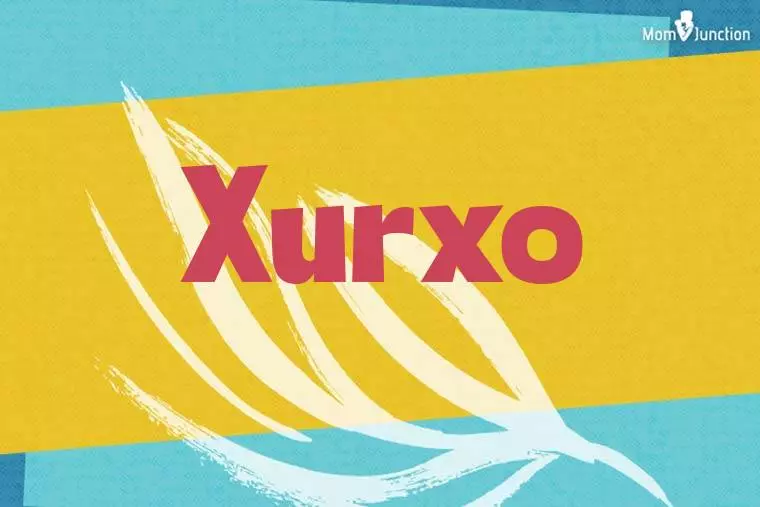 Xurxo Stylish Wallpaper