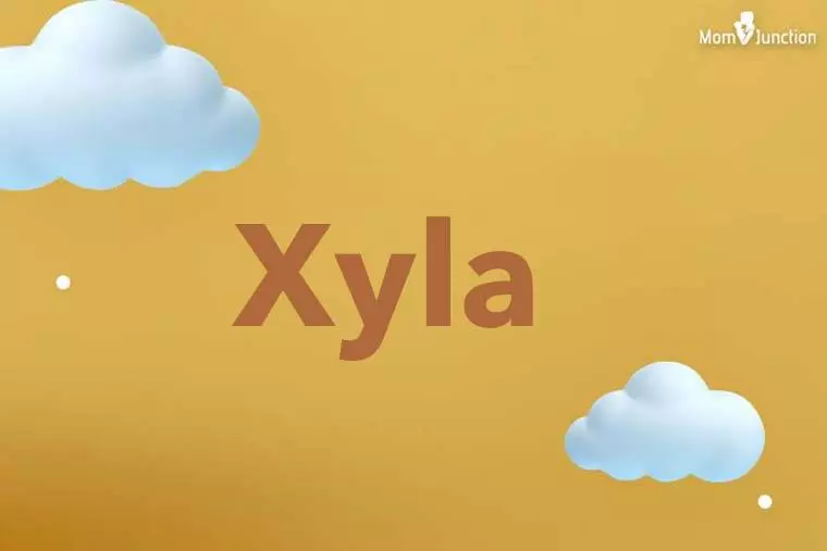 Xyla 3D Wallpaper