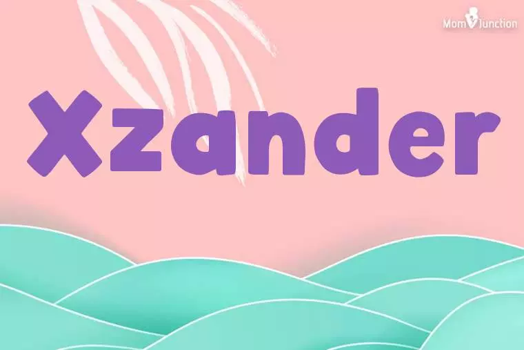 Xzander Stylish Wallpaper