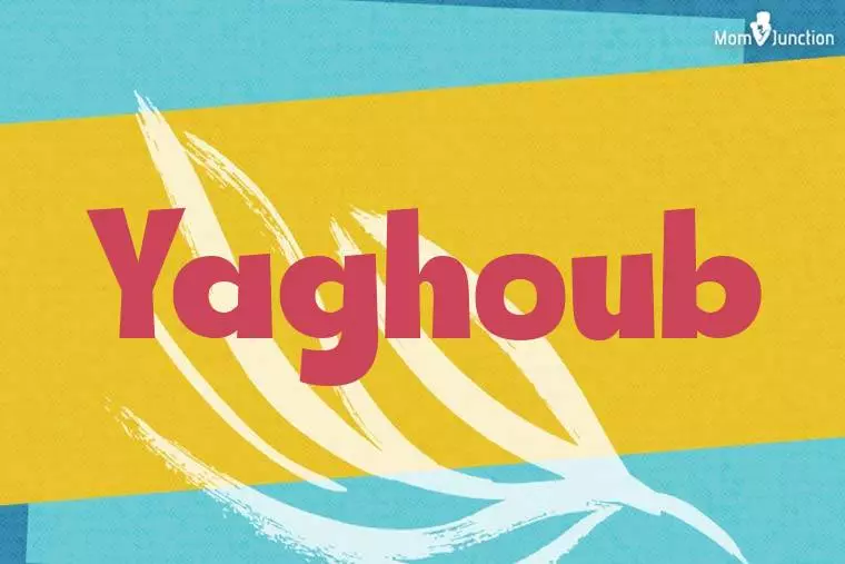 Yaghoub Stylish Wallpaper