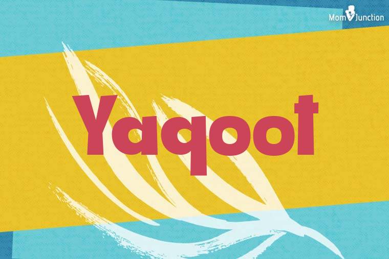 Yaqoot Stylish Wallpaper