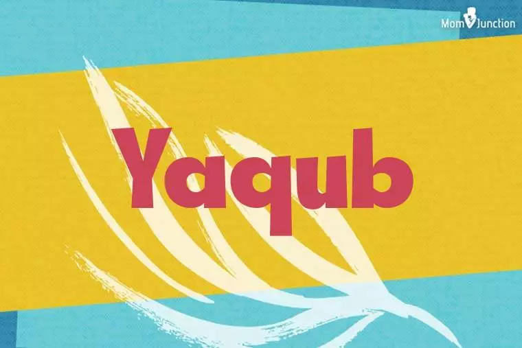 Yaqub Stylish Wallpaper