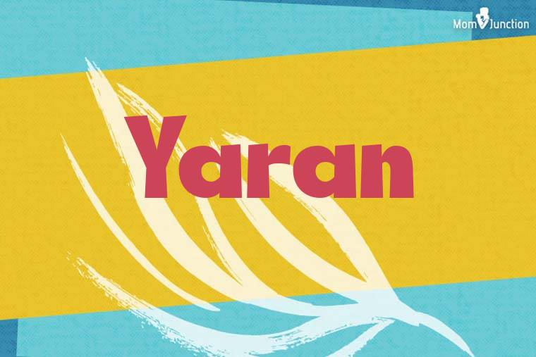 Yaran Stylish Wallpaper