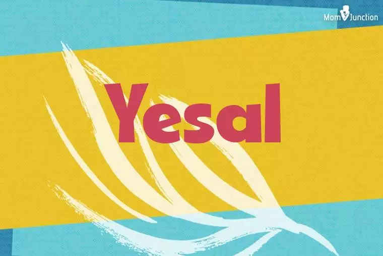 Yesal Stylish Wallpaper