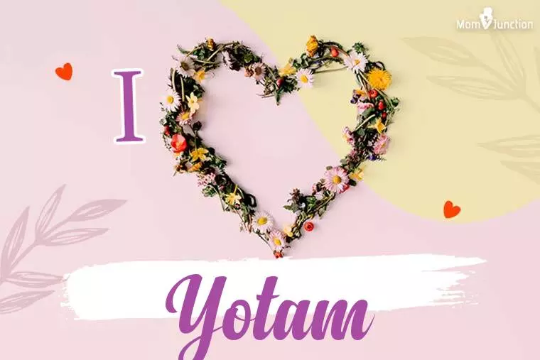 I Love Yotam Wallpaper