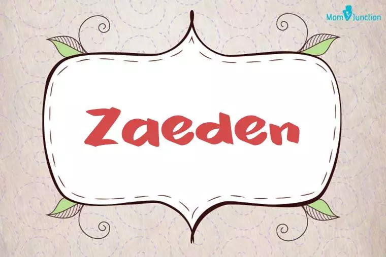 Zaeden Stylish Wallpaper