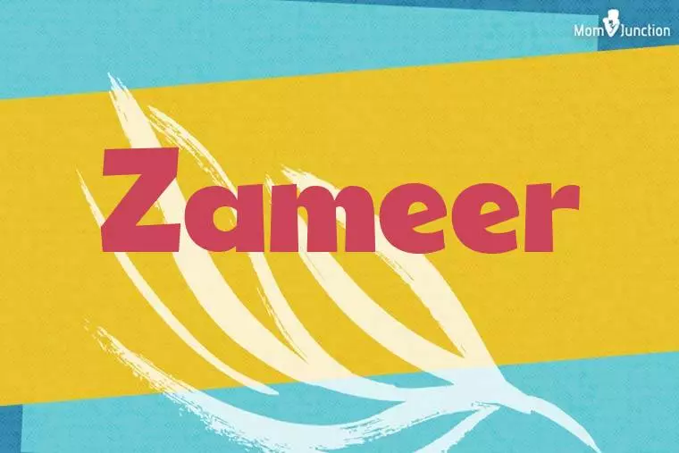 Zameer Stylish Wallpaper