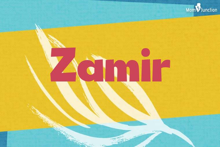 Zamir Stylish Wallpaper