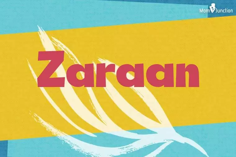 Zaraan Stylish Wallpaper