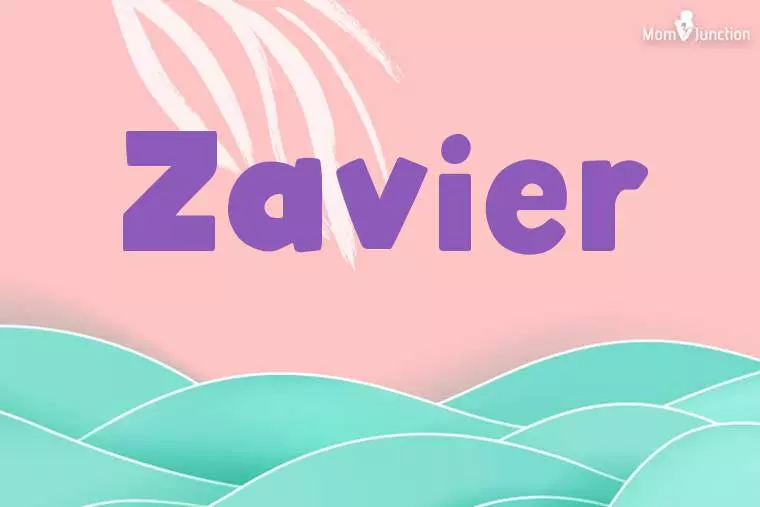 Zavier Stylish Wallpaper