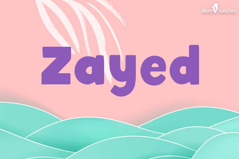 Zayed Stylish Wallpaper