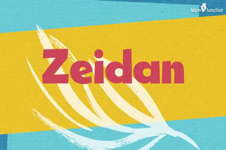 Zeidan Stylish Wallpaper