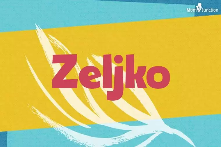 Zeljko Stylish Wallpaper