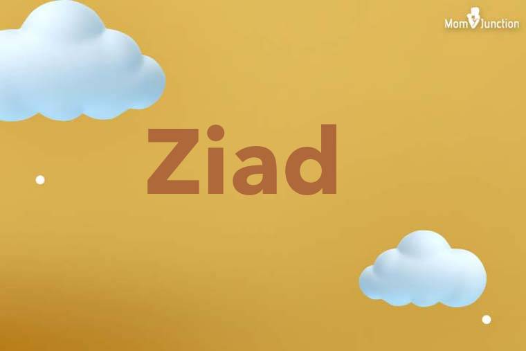 Ziad 3D Wallpaper