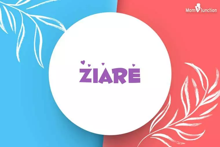 Ziare Stylish Wallpaper