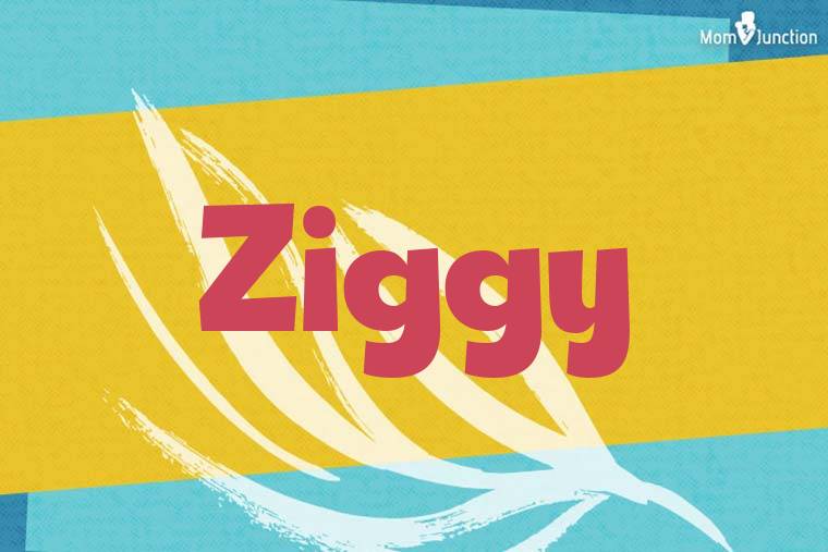 Ziggy Stylish Wallpaper