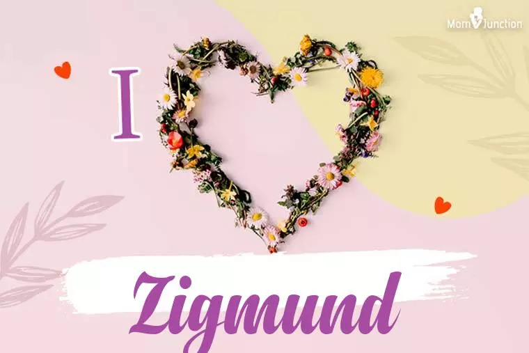 I Love Zigmund Wallpaper