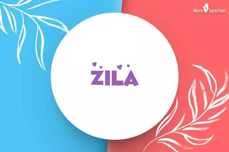 Zila Stylish Wallpaper