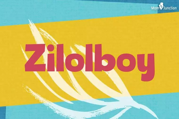 Zilolboy Stylish Wallpaper