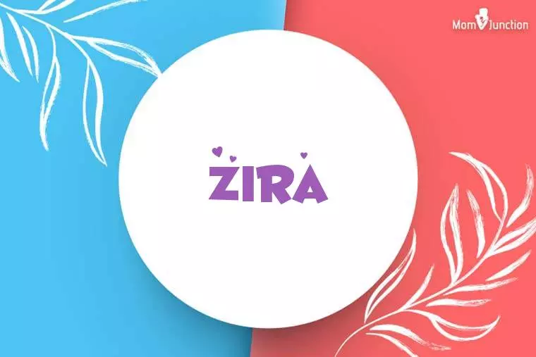 Zira Stylish Wallpaper