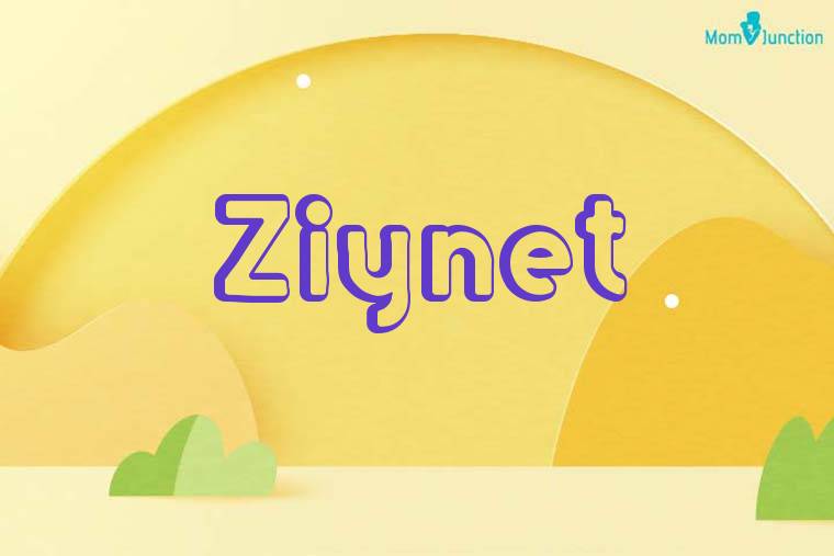 Ziynet 3D Wallpaper