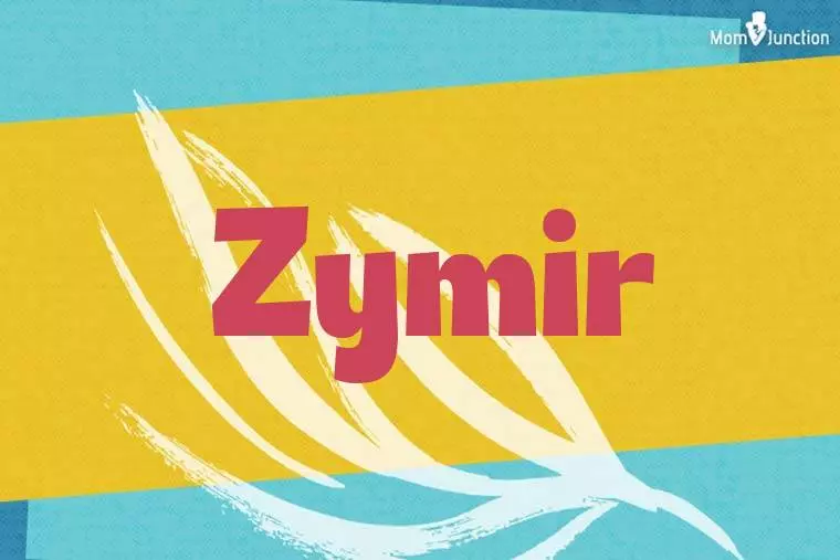 Zymir Stylish Wallpaper