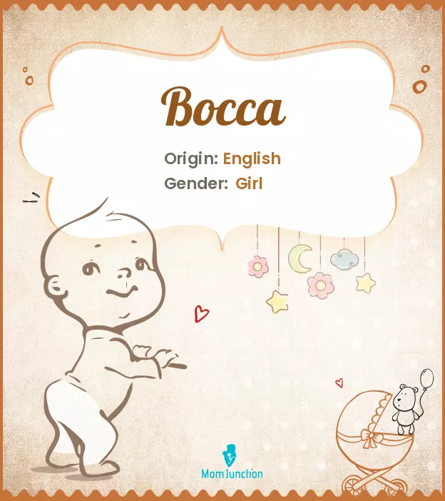 bocca_image