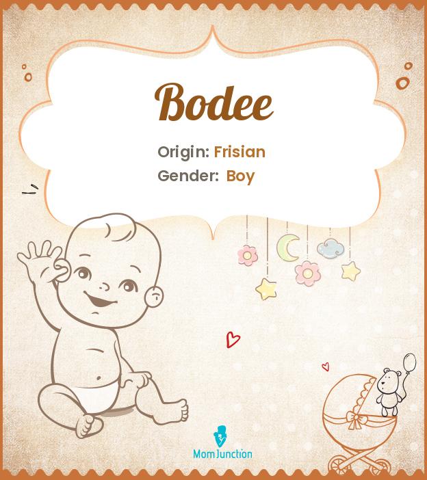 Bodee Name Meaning Origin History And Popularity