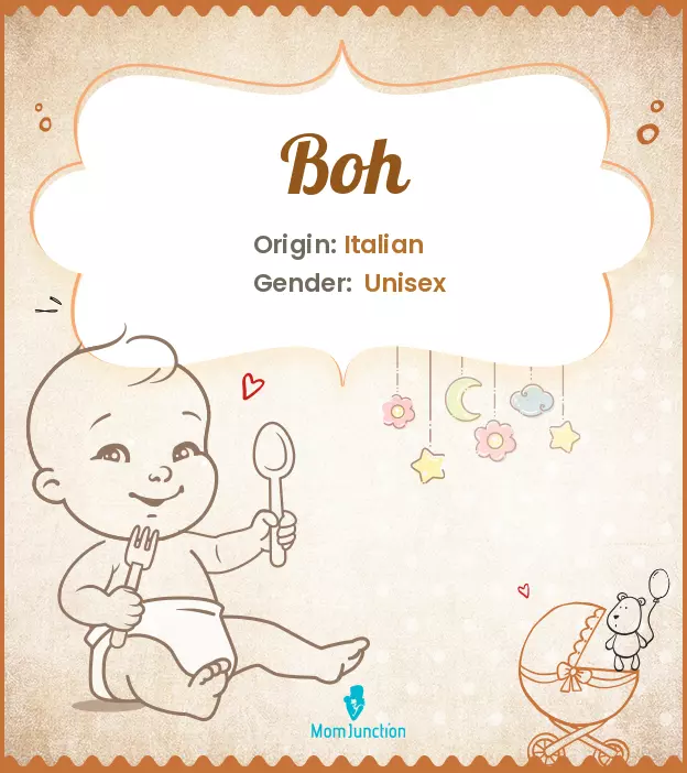 Origin, Meaning & Other Facts About Baby Name Boh_image