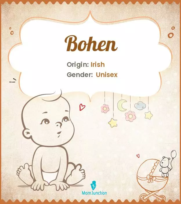 Origin, Meaning & Other Facts About Baby Name Bohen_image