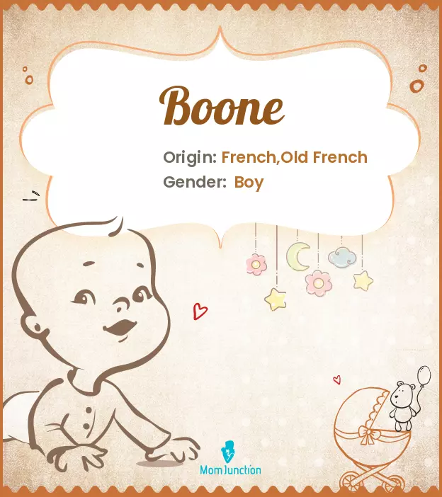 Boone: Name Meaning, Origin, History, And Popularity_image