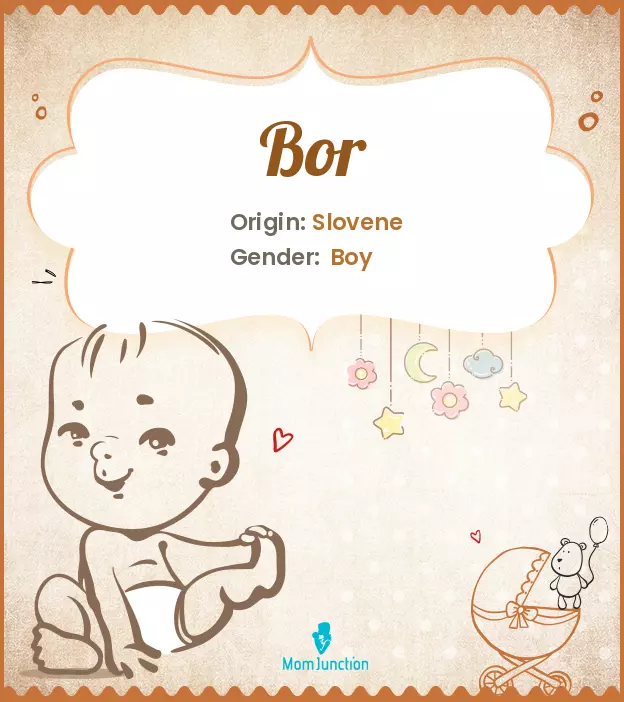 Origin, Meaning & Other Facts About Baby Name Bor | MomJunction