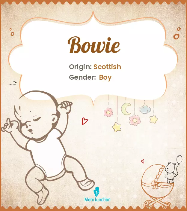 Origin, Meaning & Other Facts About Baby Name Bowie_image