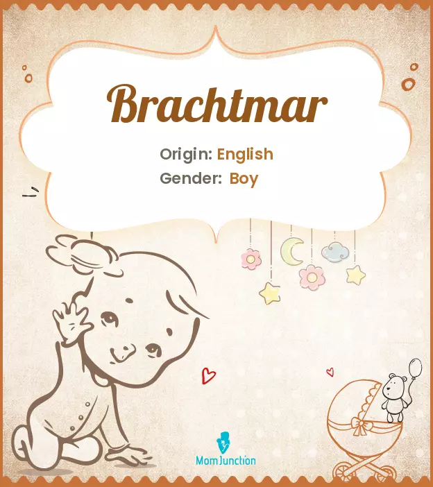 brachtmar_image