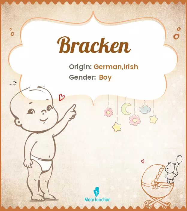 Origin, Meaning & Other Facts About Baby Name Bracken ...