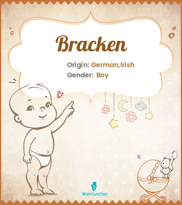 Origin, Meaning & Other Facts About Baby Name Bracken_image